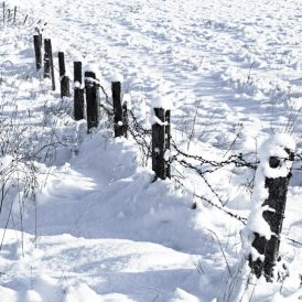 Memories of Midwestern Blizzards Image